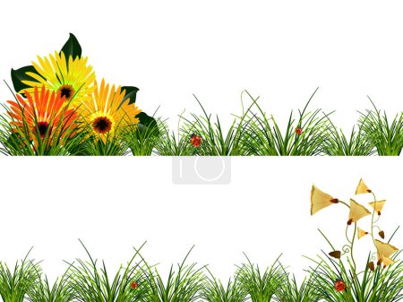 Illustration for "headers with flowers, grass and ladybugs" colorful vector illustration - Royalty Free Image