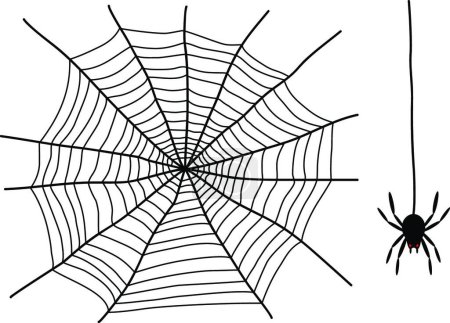 Illustration for Black spider web vector illustration - Royalty Free Image