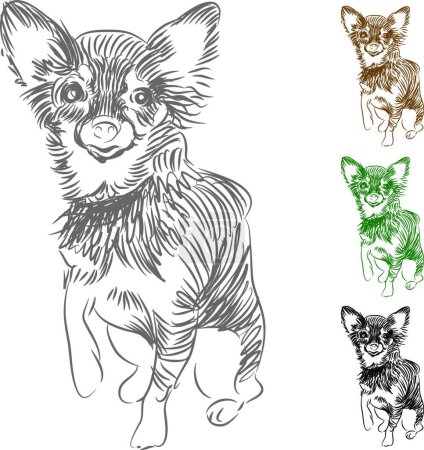 Illustration for "Chihuahua Dog Drawing vector illustration - Royalty Free Image