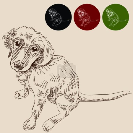 Illustration for "Labrador Puppy" colorful vector illustration - Royalty Free Image