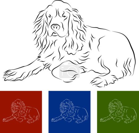 Téléchargez les illustrations : "Cocker Spaniel "illustration vectorielle colorée - en licence libre de droit