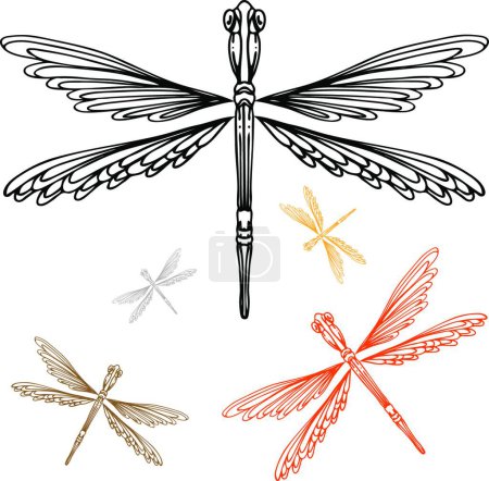 Téléchargez les illustrations : "Illustration vectorielle colorée de libellule détaillée - en licence libre de droit