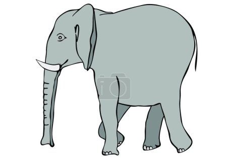 Téléchargez les illustrations : Éléphant marchant, illustration vectorielle graphique - en licence libre de droit