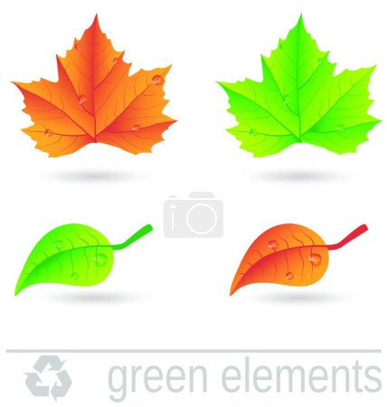 Illustration for Green design elements set vector illustration - Royalty Free Image