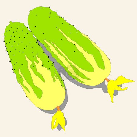 Illustration for Cucumbers icon  vector illustration - Royalty Free Image