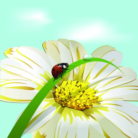 Téléchargez les illustrations : "Ladybird On Herb "illustration vectorielle colorée - en licence libre de droit