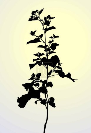 Téléchargez les illustrations : Plant-Arctium lappa, illustration vectorielle graphique - en licence libre de droit