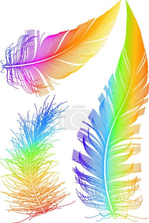 Téléchargez les illustrations : Colorful vector feather, graphic vector illustration - en licence libre de droit