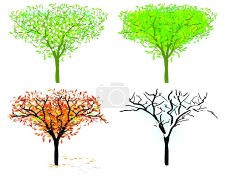 Illustration for Tree in for season modern vector illustration - Royalty Free Image