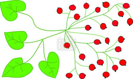 Téléchargez les illustrations : Baies rouges et feuilles vertes, illustration vectorielle design simple - en licence libre de droit
