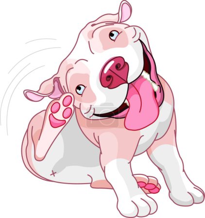Illustration for Cute pit bull scratching  vector illustration - Royalty Free Image
