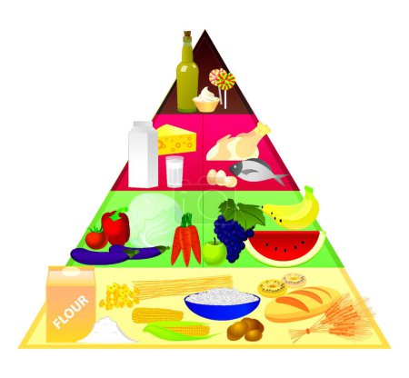Téléchargez les illustrations : Pyramide alimentaire, illustration vectorielle graphique - en licence libre de droit