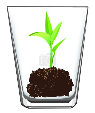 Illustration for Seedling in glass, graphic vector illustration - Royalty Free Image