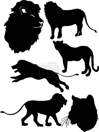 Illustration for Set of the silhouettes of the lion, graphic vector illustration - Royalty Free Image