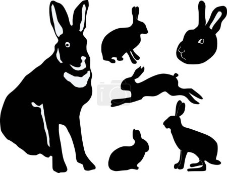 Téléchargez les illustrations : Ensemble des silhouettes du lièvre, illustration vectorielle graphique - en licence libre de droit