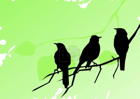 Illustration for Birds, colorful vector illustration - Royalty Free Image