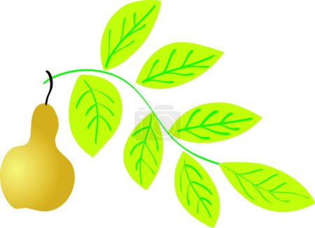 Illustration for Abstract composition, leaf and pear - Royalty Free Image