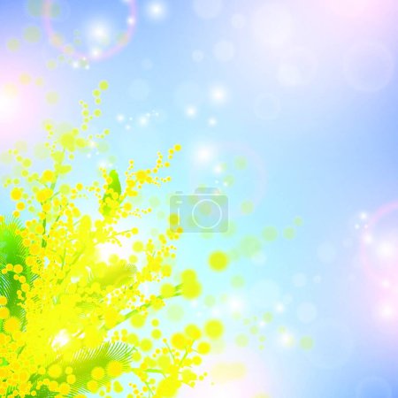 Illustration for Mimosa, graphic vector background - Royalty Free Image