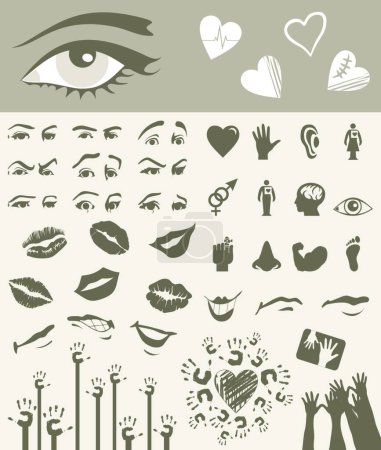 Illustration for Body parts, vector illustration simple design - Royalty Free Image