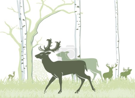 Ilustración de "Ciervos y ciervos rojos
" - Imagen libre de derechos