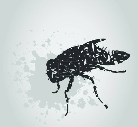 Illustration for Fly, graphic vector background - Royalty Free Image