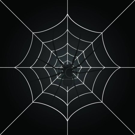 Illustration for Spider, graphic vector background - Royalty Free Image