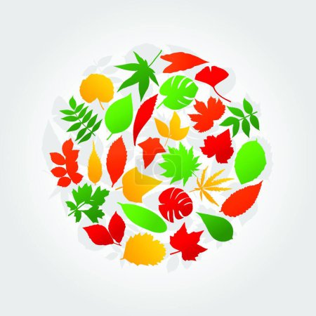 Illustration for Circle of leaves, graphic vector background - Royalty Free Image