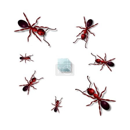 Illustration for Ants, graphic vector background, graphic vector background - Royalty Free Image