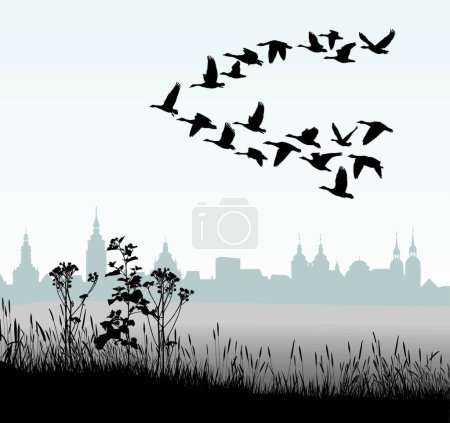 Téléchargez les illustrations : Oies sauvages migratrices du pays, fond vectoriel graphique - en licence libre de droit