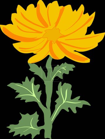 Téléchargez les illustrations : Chrysanthème, fond vectoriel graphique - en licence libre de droit