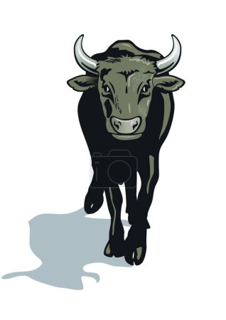 Illustration for Bull, graphic vector illustration - Royalty Free Image