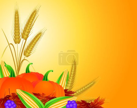 Illustration for Fall Harvest , graphic vector illustration " - Royalty Free Image