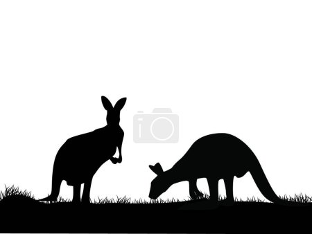 Illustration for "Kangaroo silhouette" colorful vector illustration - Royalty Free Image
