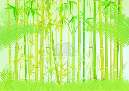 Téléchargez les illustrations : "jungle de bambous "illustration vectorielle colorée - en licence libre de droit