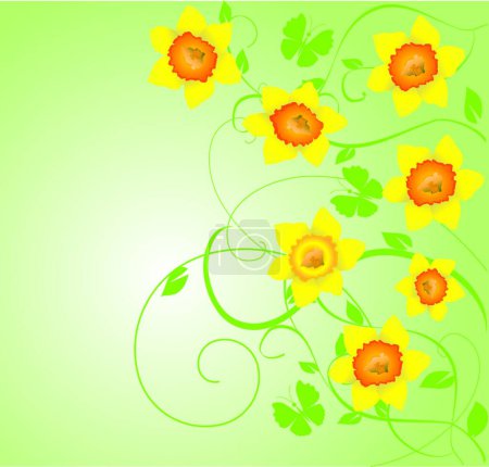 Ilustración de Narcisos vector colorido ilustración - Imagen libre de derechos