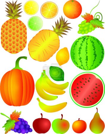 Téléchargez les illustrations : Fruits mis illustration vectorielle - en licence libre de droit