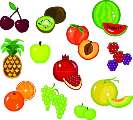 Téléchargez les illustrations : Fruits mis illustration vectorielle moderne - en licence libre de droit