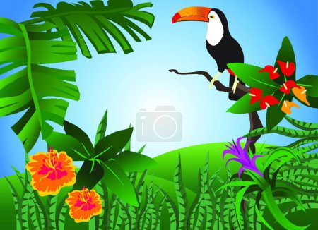 Téléchargez les illustrations : Illustration vectorielle toucan et colorée - en licence libre de droit