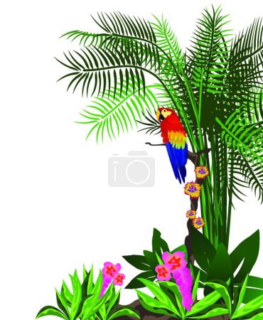 Illustration for Parrot, colorful vector illustration - Royalty Free Image