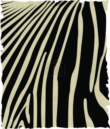 Illustration for Zebra skin background vector illustration - Royalty Free Image