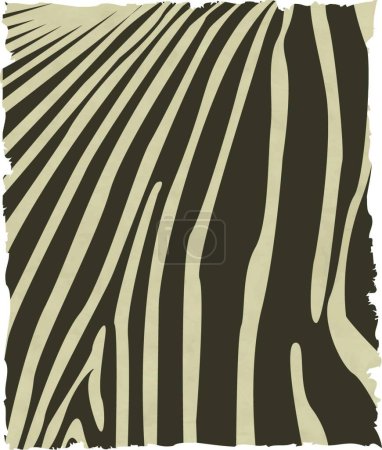 Illustration for Zebra skin  vector illustration - Royalty Free Image