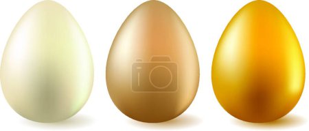 Illustration for Three realistic eggs vector illustration - Royalty Free Image