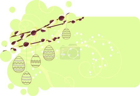 Illustration for Pussy willow branches vector illustration - Royalty Free Image