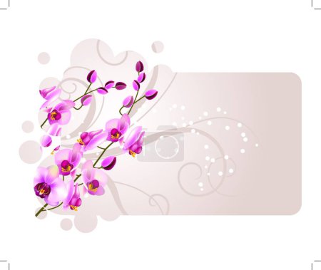 Illustration for Orchid flowers vector illustration - Royalty Free Image