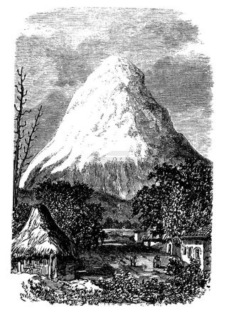 Illustration for "Chimborazo Volcano in Ecuador, during the 1890s" - Royalty Free Image