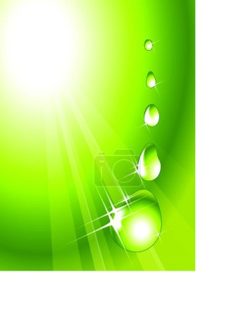 Illustration for Illustration of the Water drops  background - Royalty Free Image