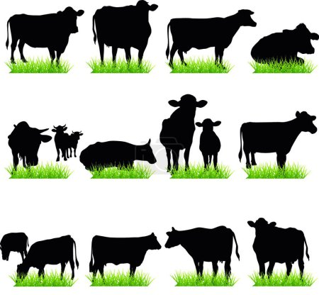 Téléchargez les illustrations : Illustration des silhouettes des vaches - en licence libre de droit