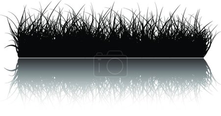 Téléchargez les illustrations : Illustration vectorielle de fond d'herbe - en licence libre de droit