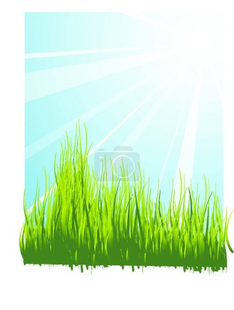 Téléchargez les illustrations : Spring meadow  vector illustration - en licence libre de droit