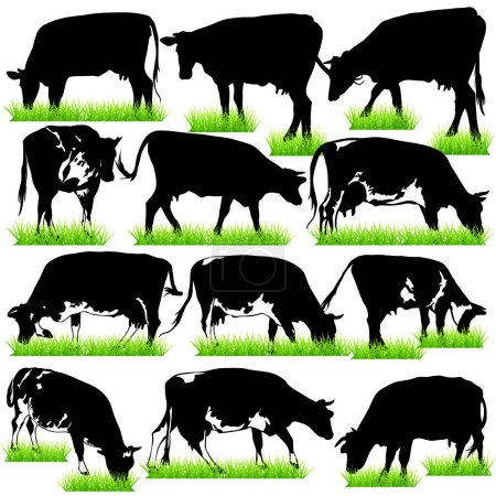 Téléchargez les illustrations : 12 Silhouettes de vaches détaillées - en licence libre de droit